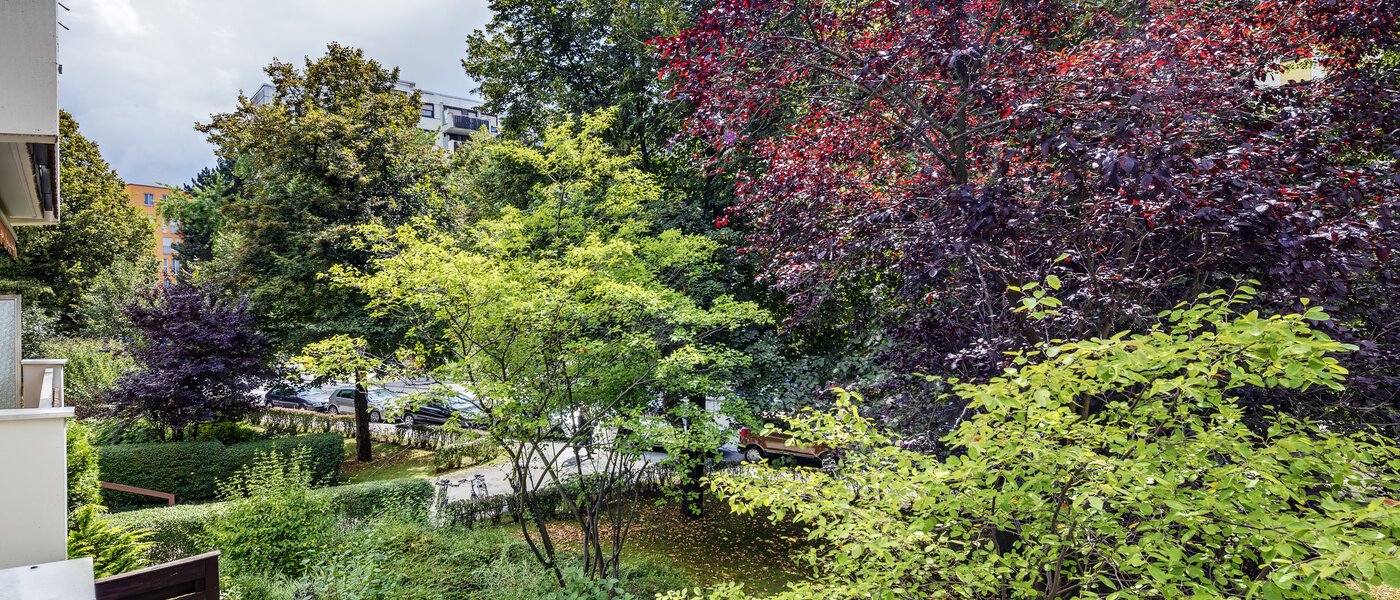 appartement München Haidhausen 01 vue 7905