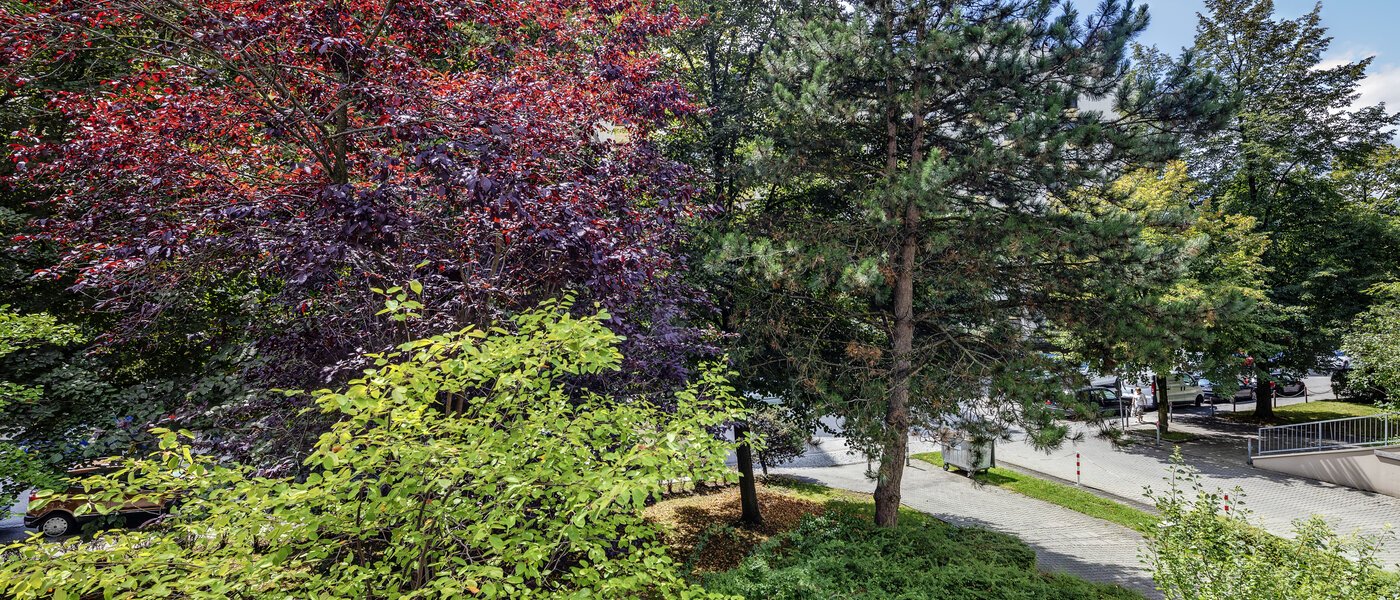 appartement München Haidhausen 02 vue 7905