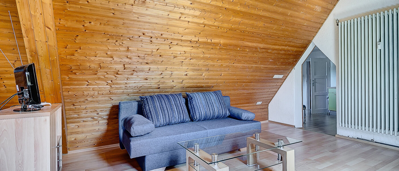 appartement sous les toits München Untermenzing 02 salon 7937