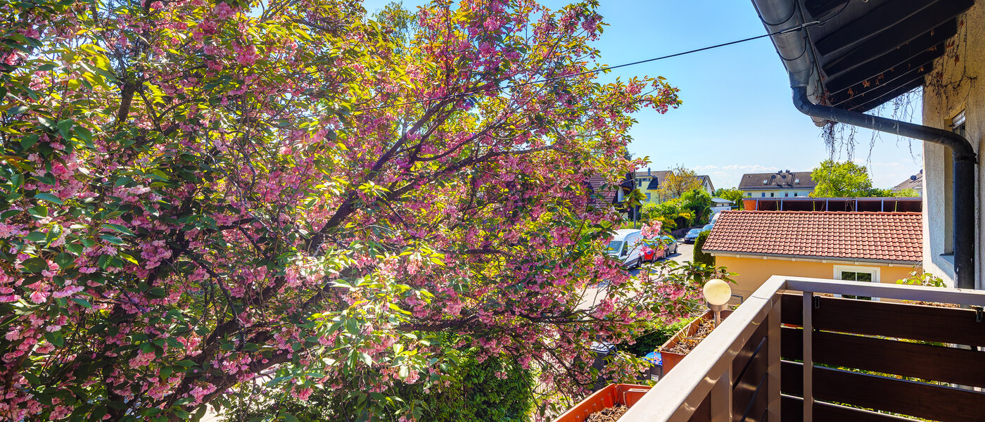 appartement Haar 02 vue 7939