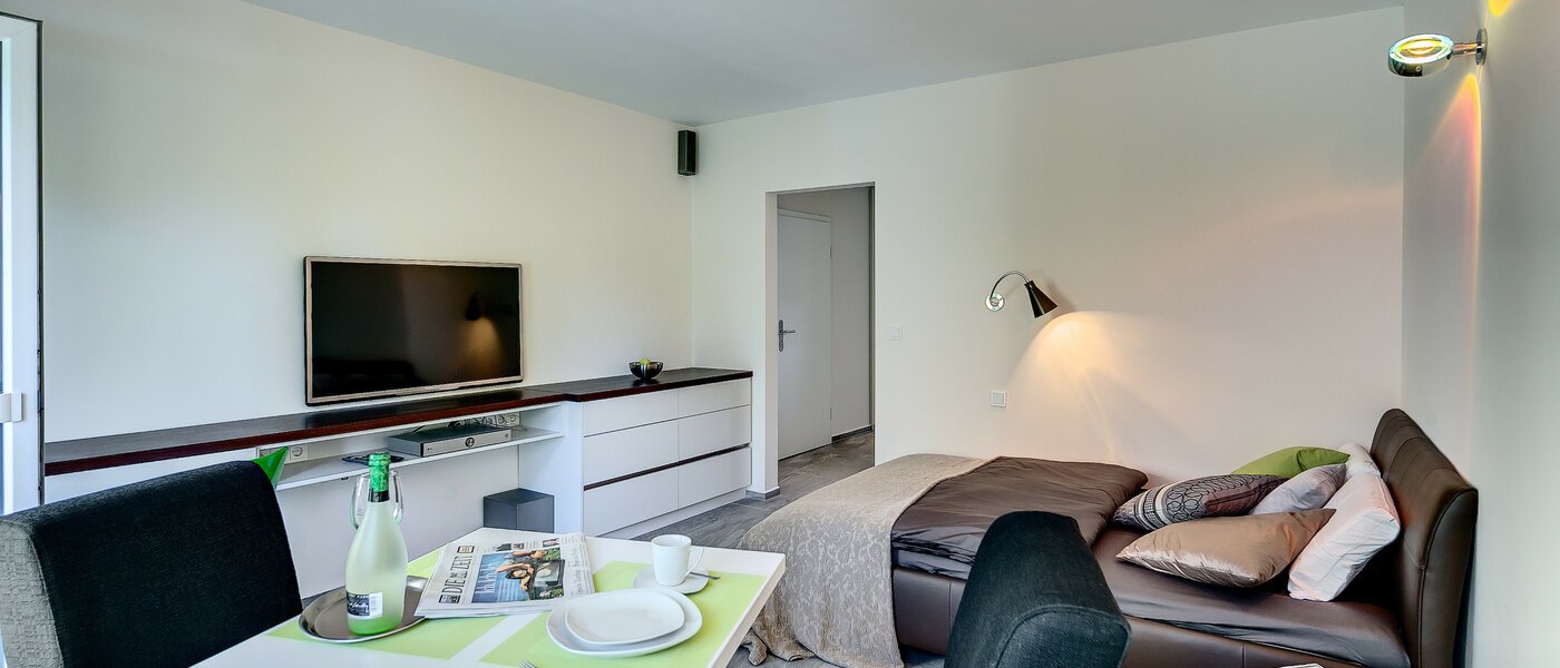 appartement München Au-Haidhausen 01 salon 8038