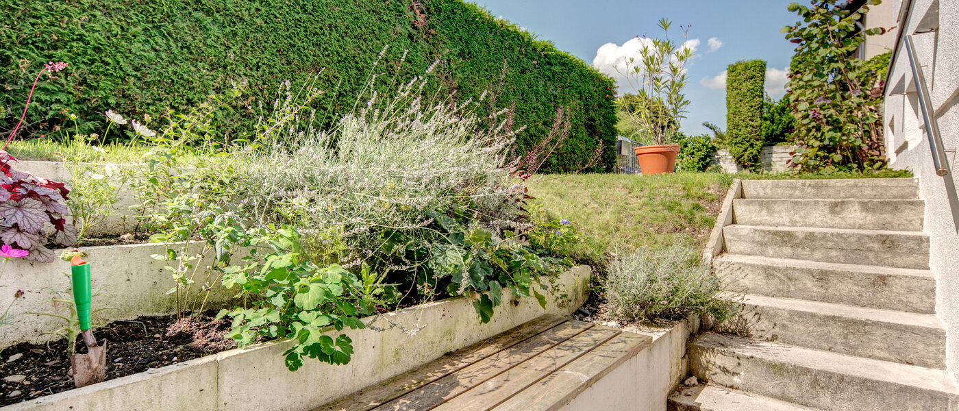 appartement München Nymphenburg 02 terrasse 8077