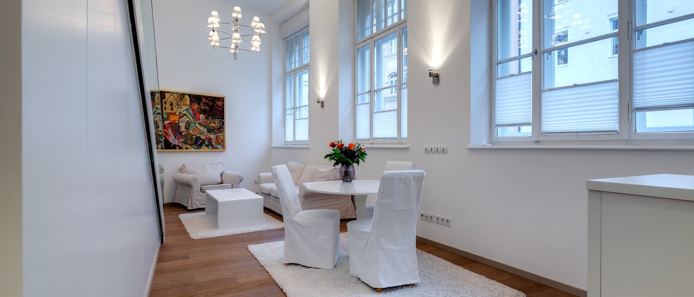appartement avec mezzanine München Maxvorstadt 04 salon 8163