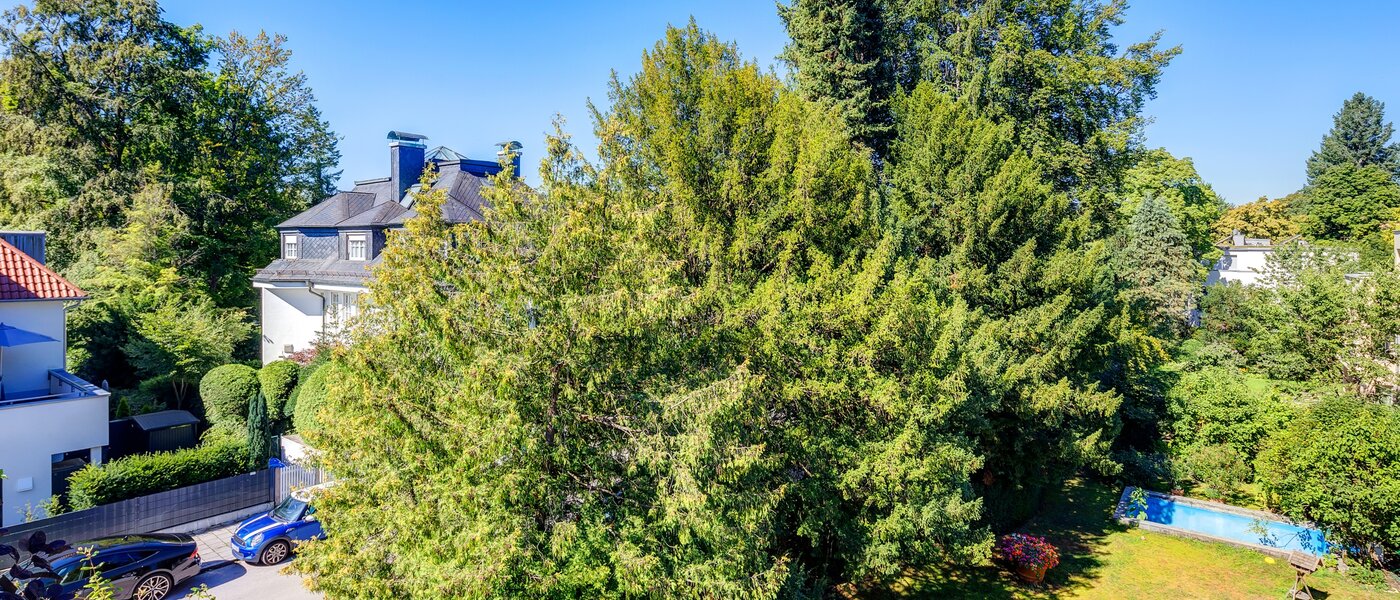 appartement sous les toits München Menterschwaige 01 vue 8181