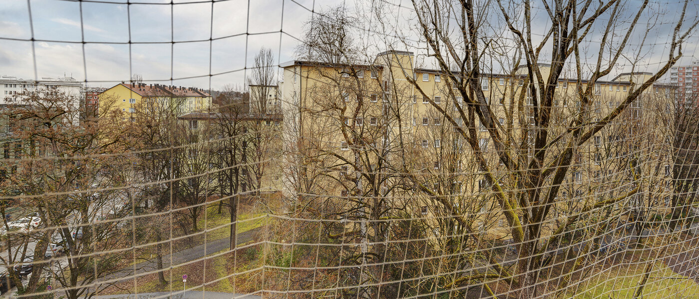 appartement München Bogenhausen 02 vue 8368