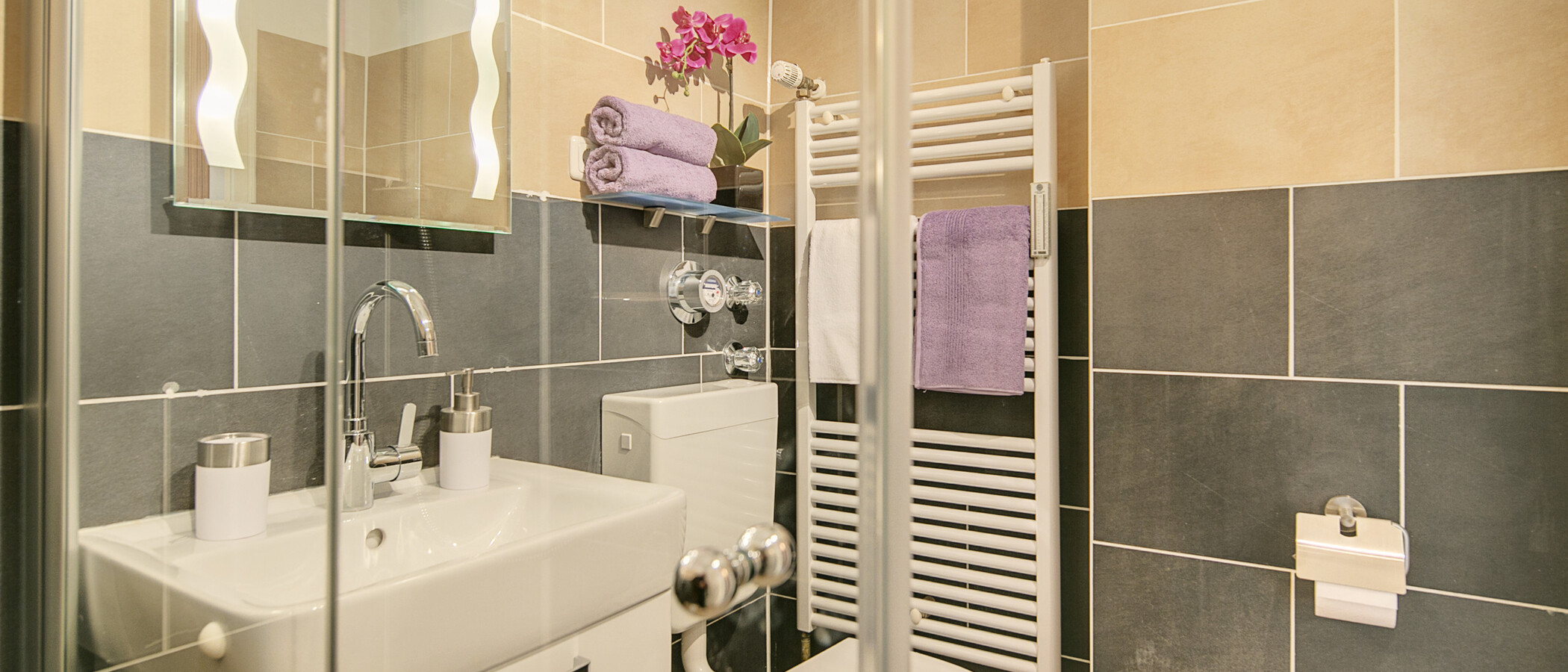 appartement avec jardin München Maxvorstadt 02 salle de bain 8378