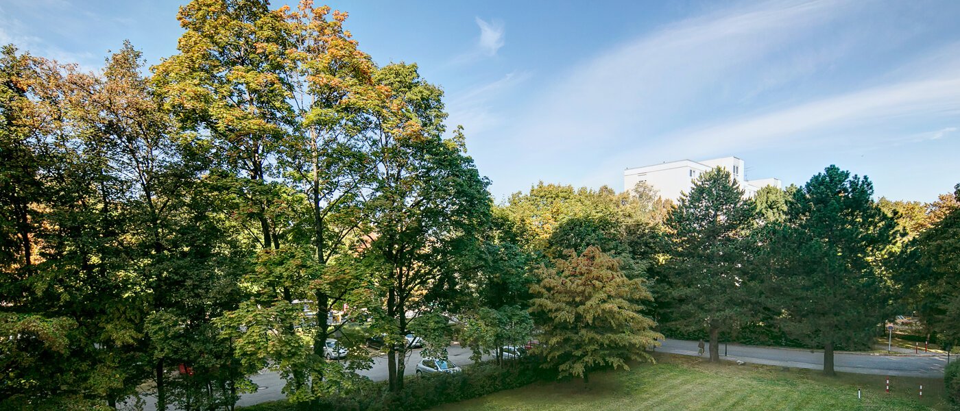 appartement München Englschalking 02 vue 8399