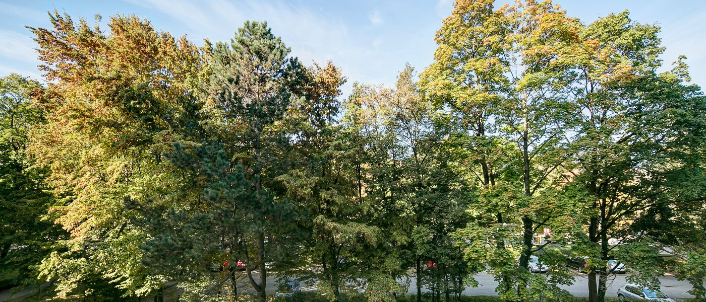 appartement München Englschalking 03 vue 8399