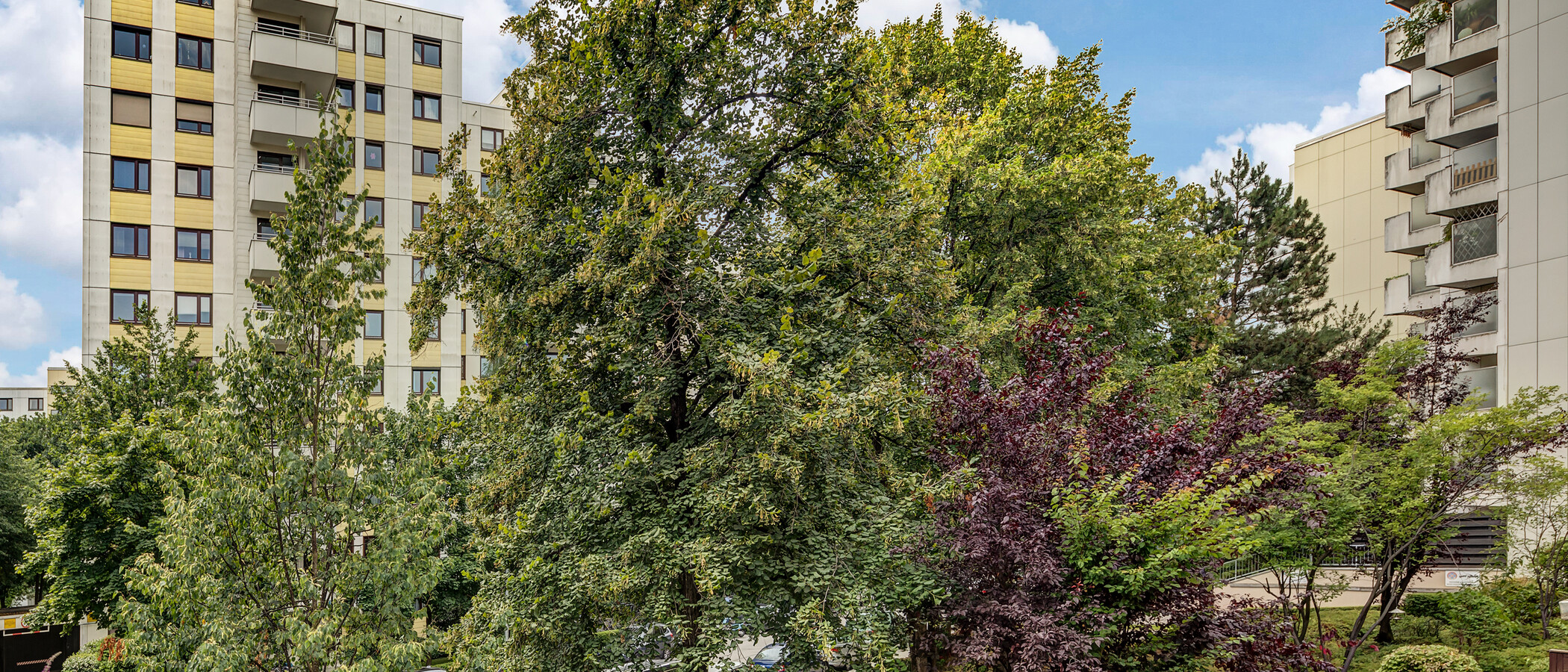 appartement München Haidhausen 02 vue 8463