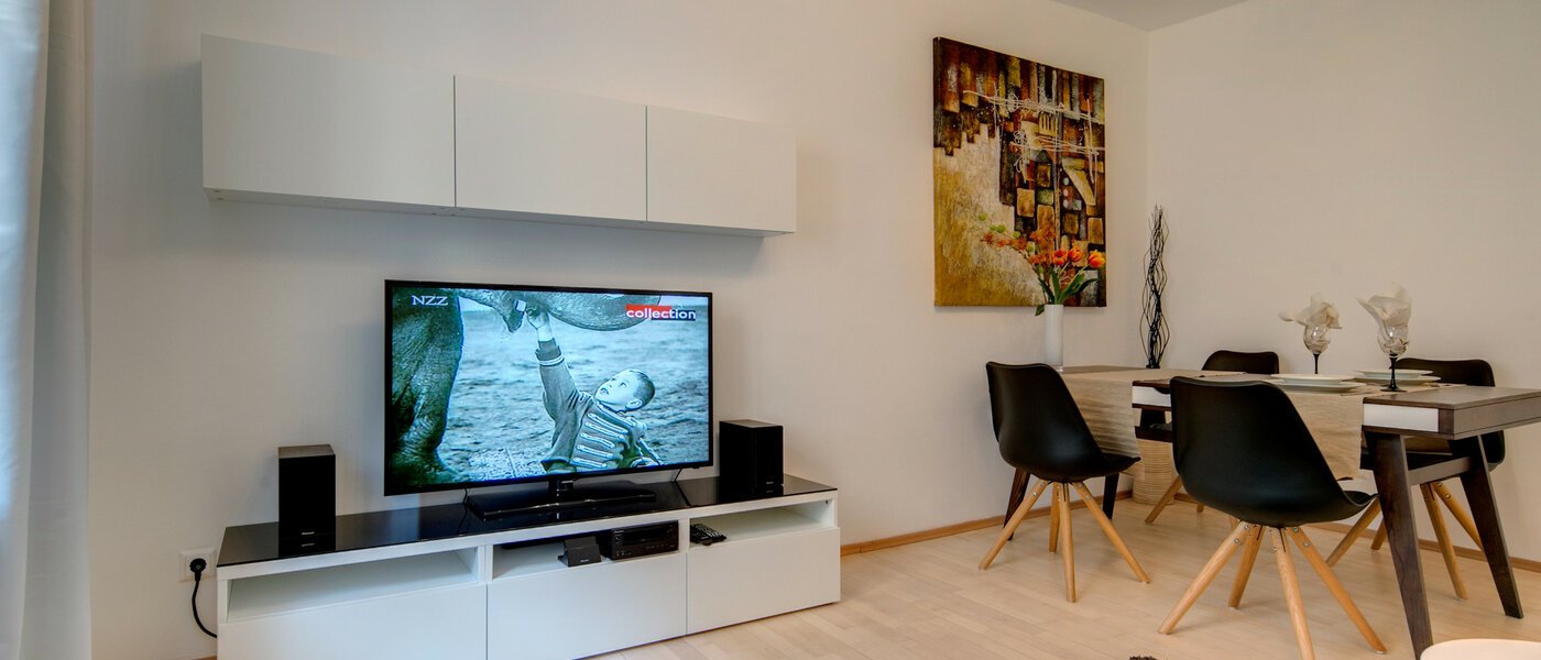 appartement München Maxvorstadt - Universitätsviertel 04 salon 8499