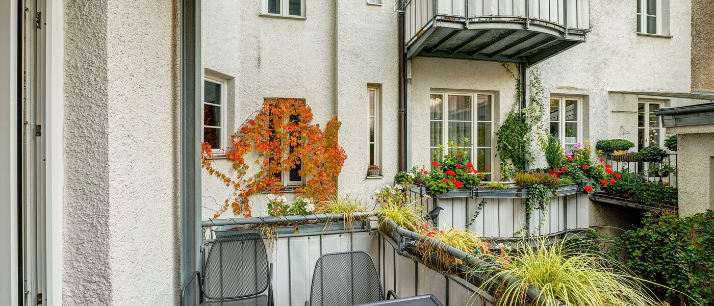 appartement München Maxvorstadt - Universitätsviertel 01 vue 8558