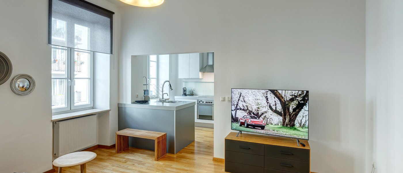 appartement München Maxvorstadt - Universitätsviertel 04 salle de séjour 8558