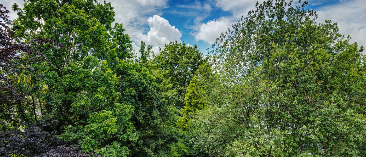 appartement München Ramersdorf 02 vue 8588