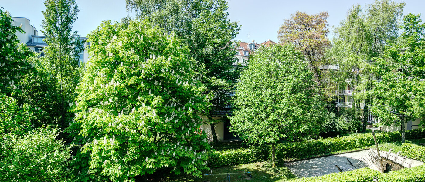 appartement München Maxvorstadt - Universitätsviertel 02 vue 8629