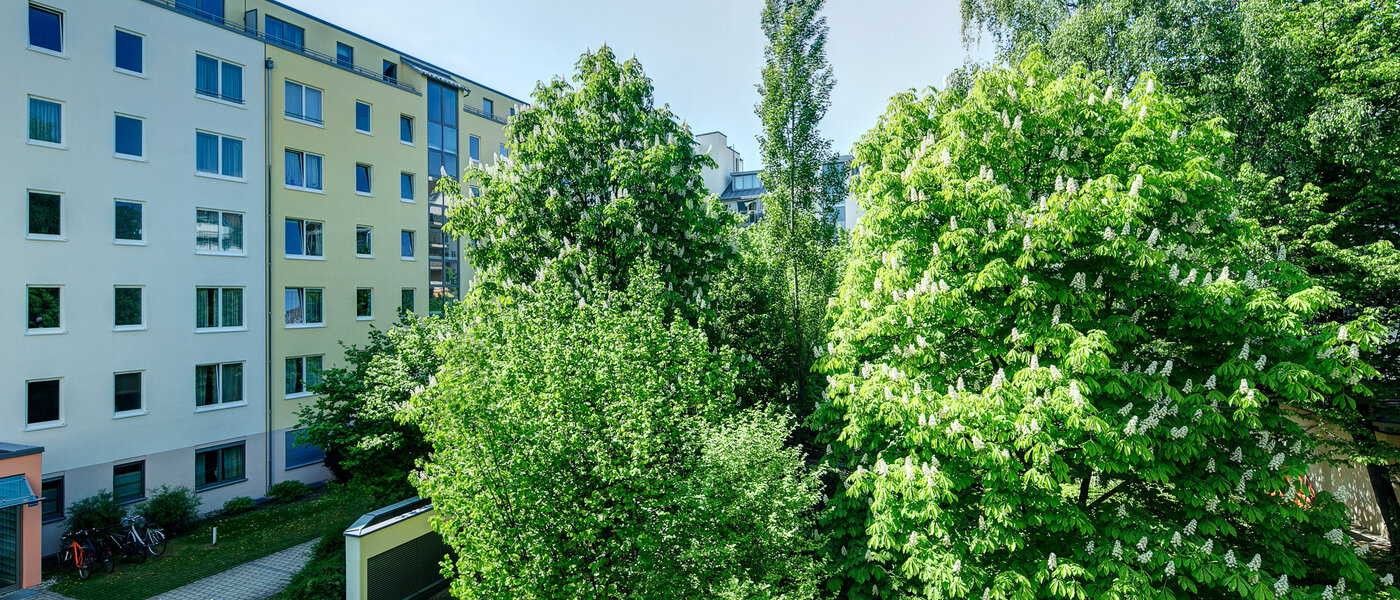 appartement München Maxvorstadt - Universitätsviertel 03 vue 8629