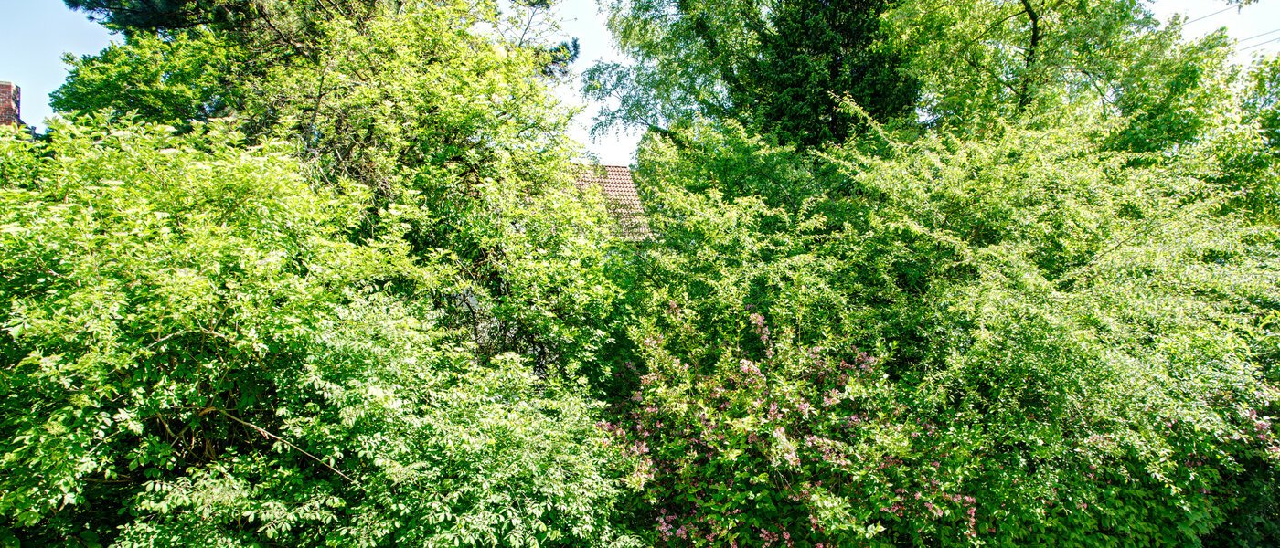 appartement München Freimann 04 vue 8673