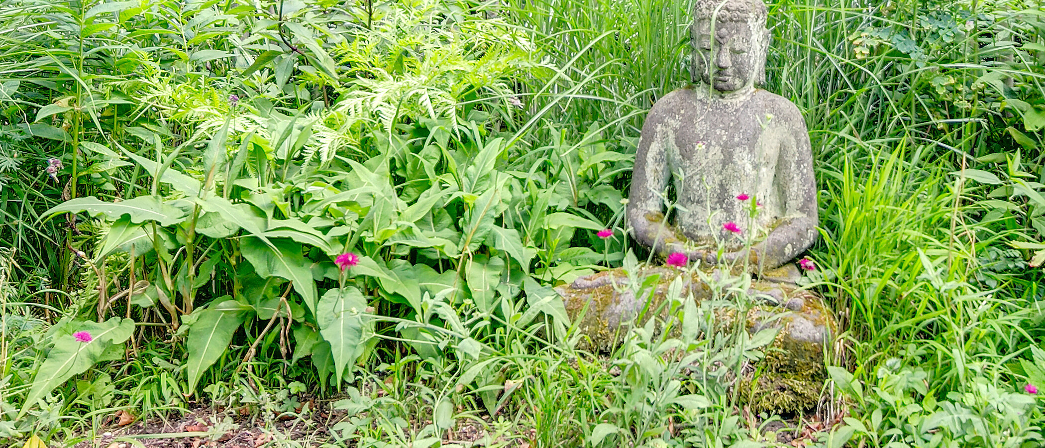 maison Gräfelfing 05 jardin 8778