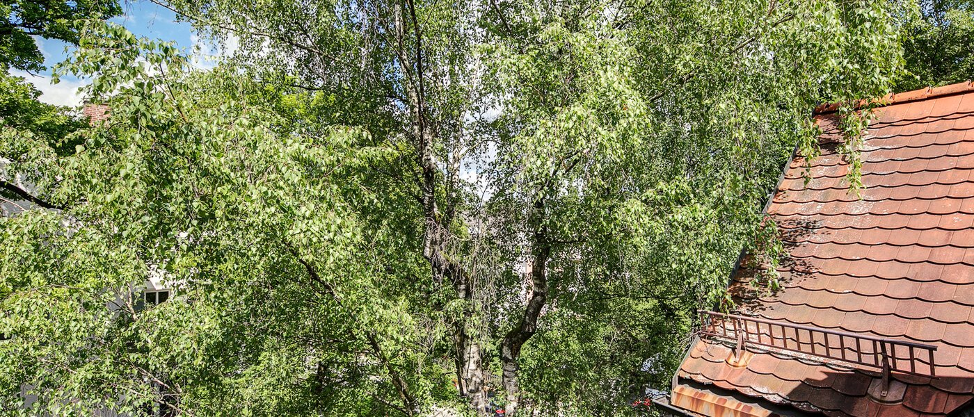 appartement sous les toits München Solln 03 vue 8785