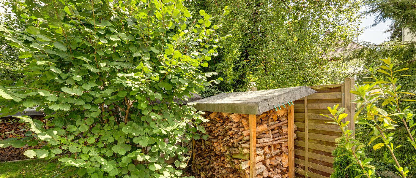 studio Gräfelfing 04 jardin 8902