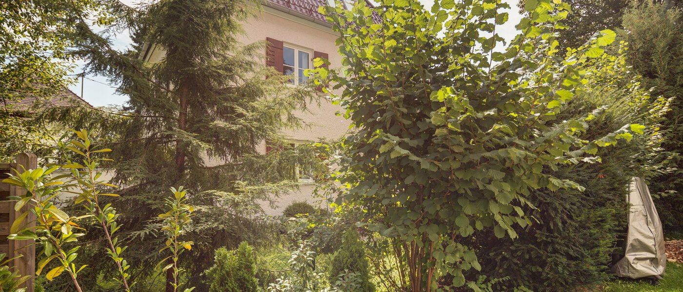 studio Gräfelfing 01 vue 8902