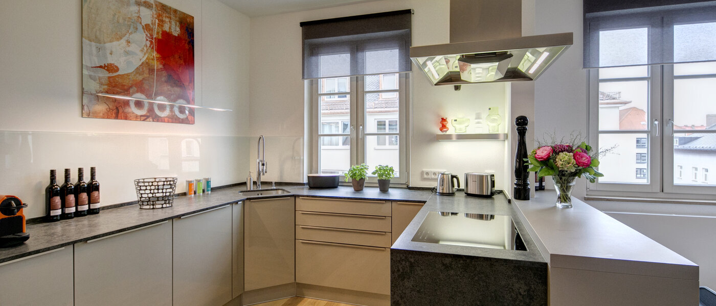 appartement München Maxvorstadt - Universitätsviertel 01 cuisine 9074