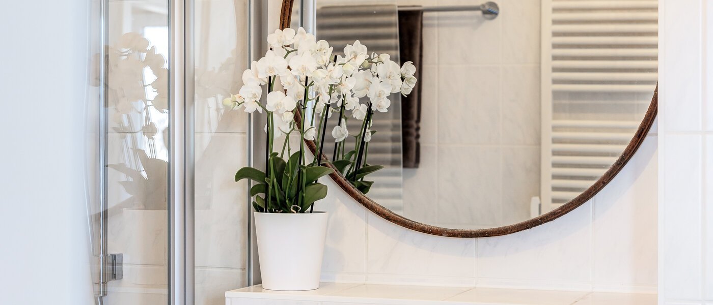 appartement München Schwabing-West (rund um den Hohenzollernplatz) 02 salle de bain 9209