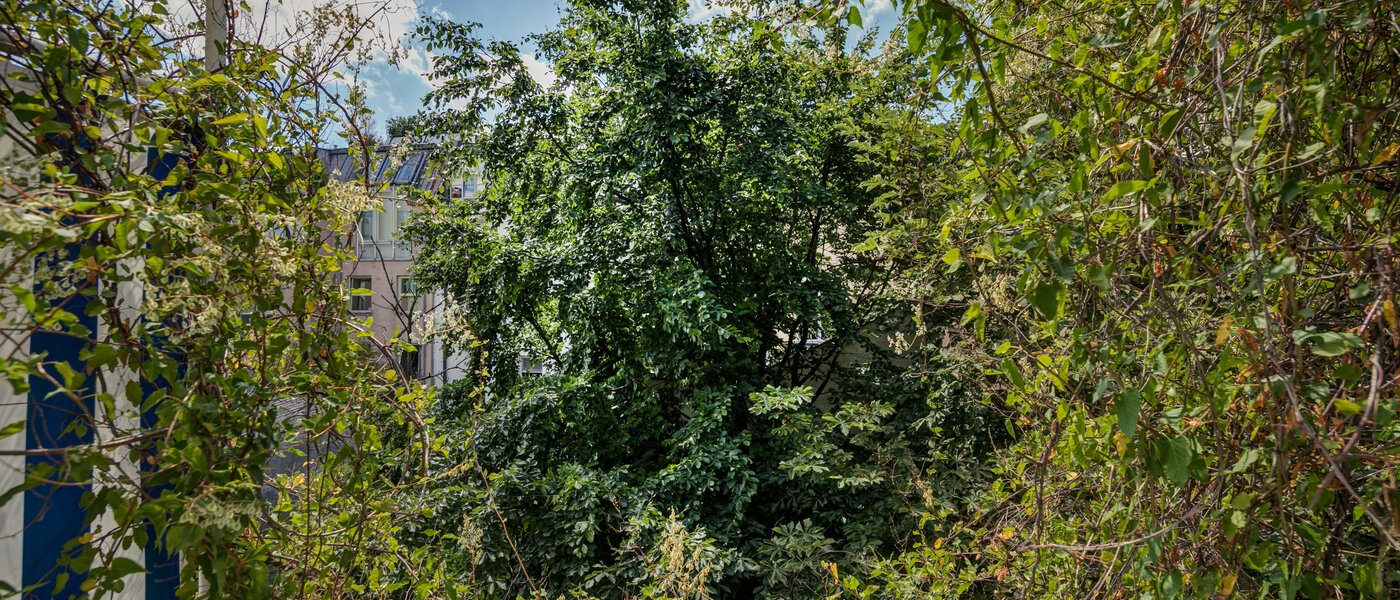 studio München Schwabing 02 vue 9272