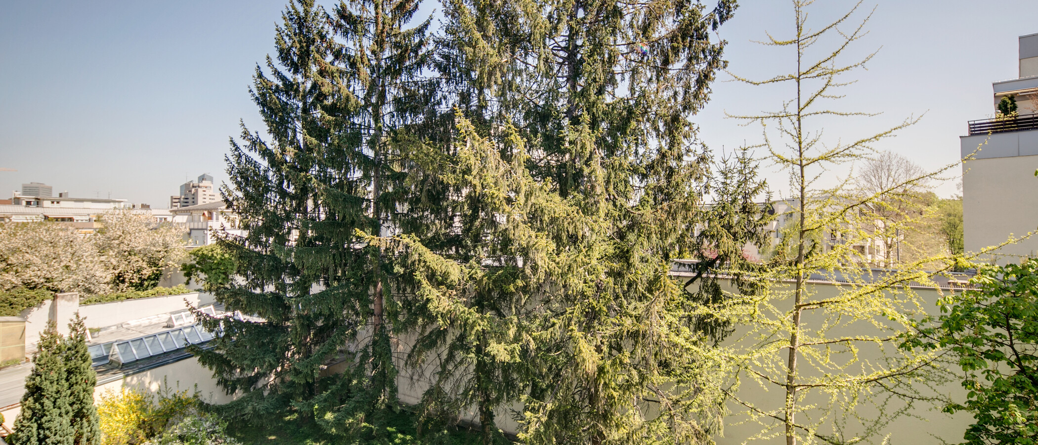 appartement München Schwabing (rechts der Leopoldstraße) 01 vue 9457