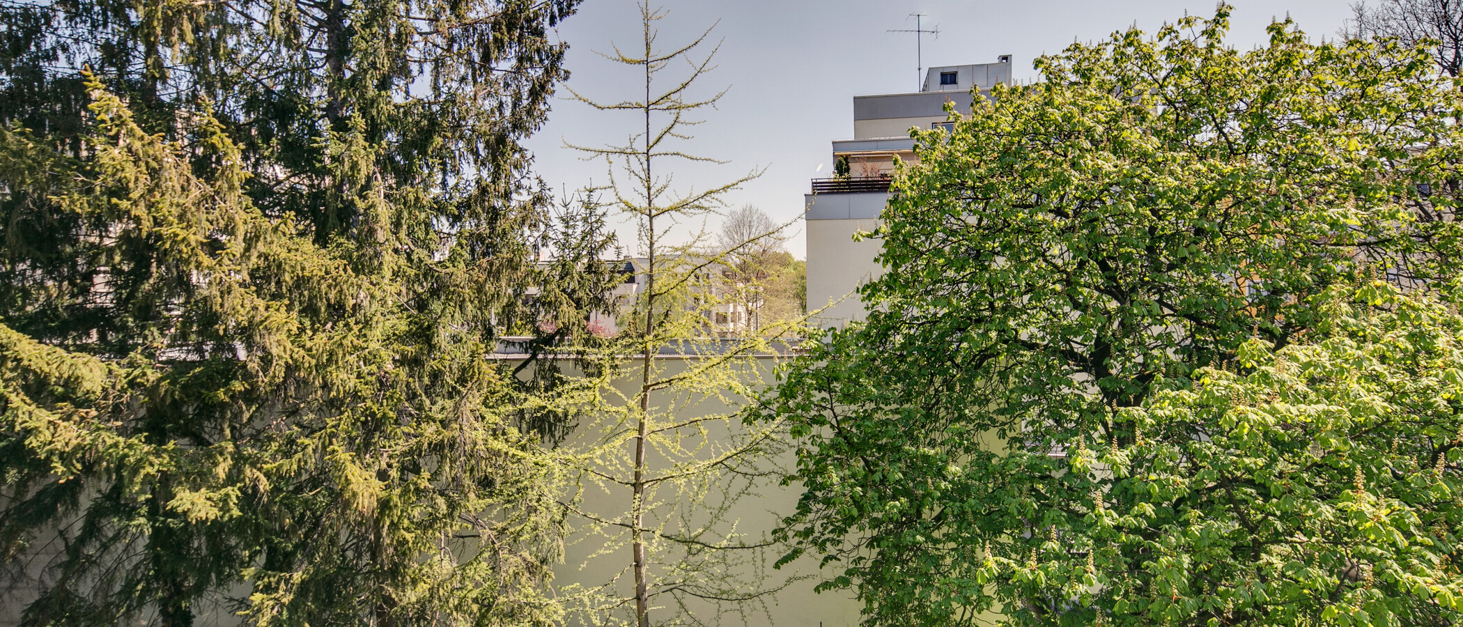 appartement München Schwabing (rechts der Leopoldstraße) 02 vue 9457