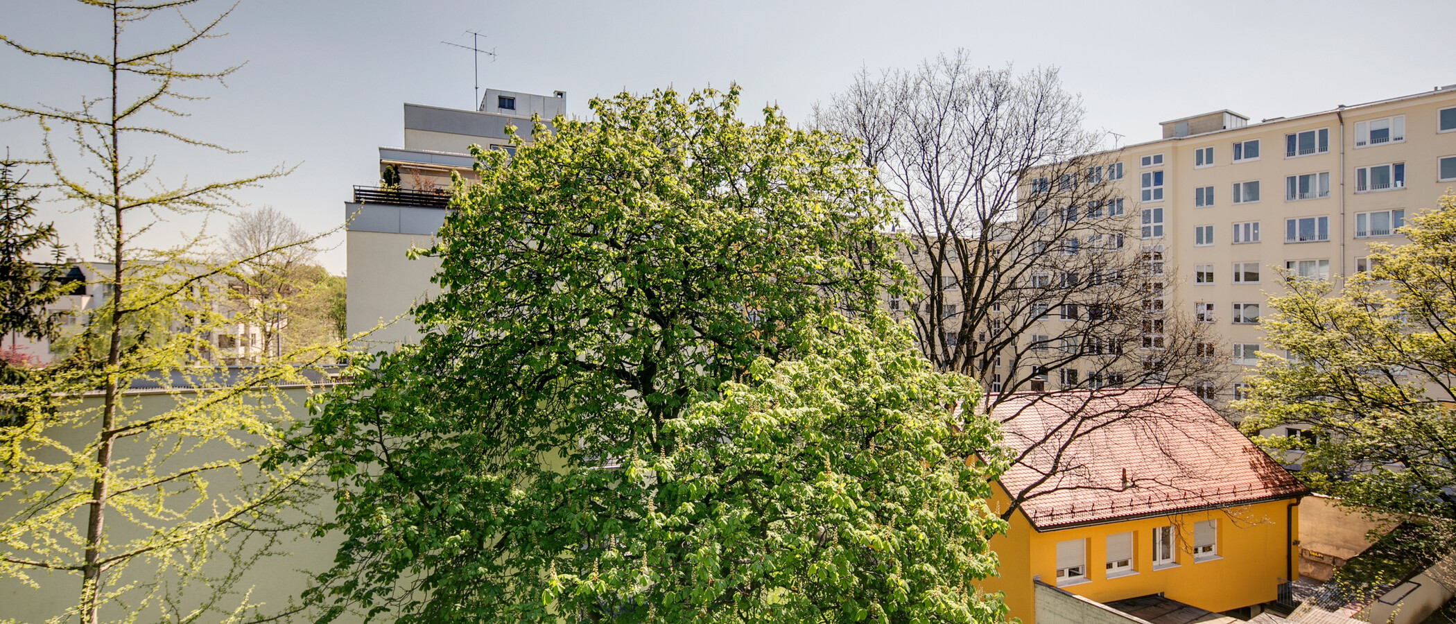 appartement München Schwabing (rechts der Leopoldstraße) 03 vue 9457