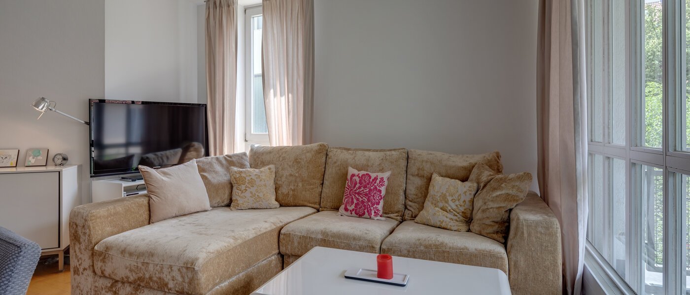 appartement München Schwabing (links der Leopoldstraße) 03 salle de séjour 9548