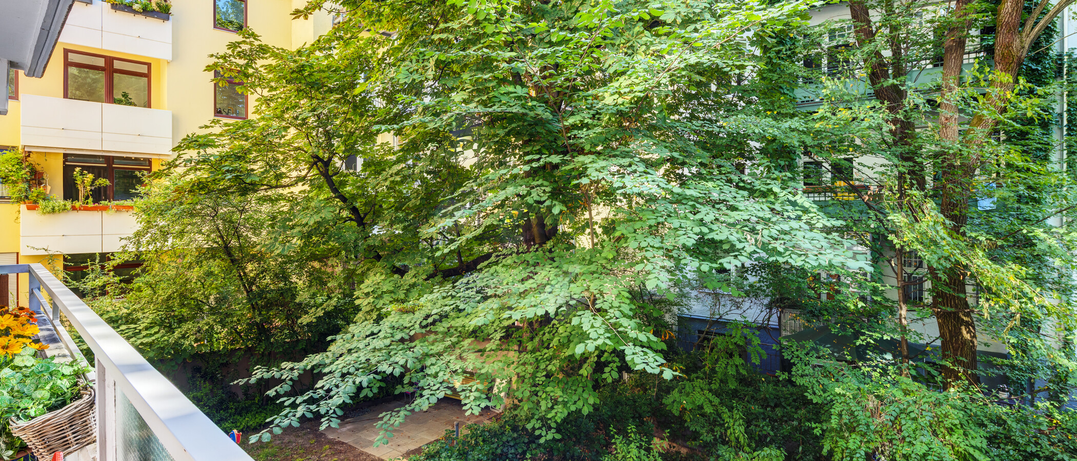 appartement München Lehel 01 vue 9663