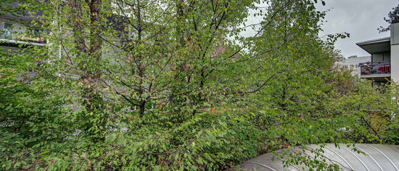 appartement München Haidhausen 02 vue 9683