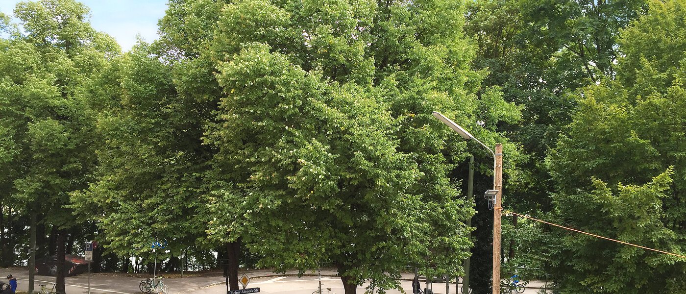 appartement München Isarvorstadt 03 vue 9687