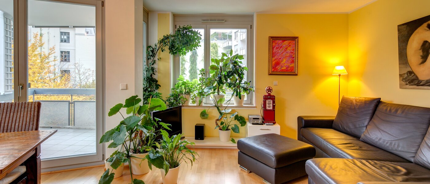 Désolé, cet objet est déjà loué