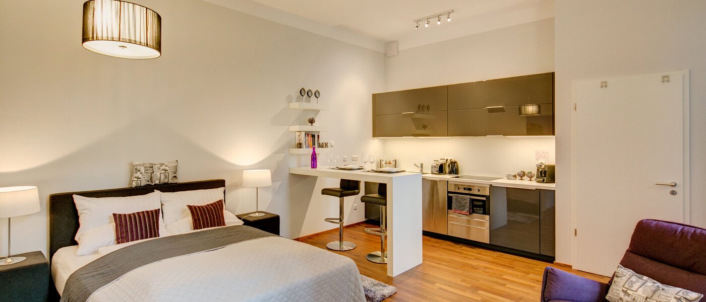 appartement München Ludwigsvorstadt 04 salon 9771