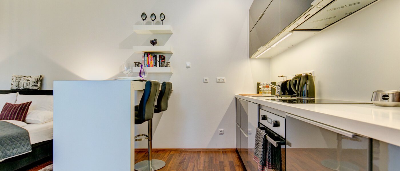 appartement München Ludwigsvorstadt 01 cuisine 9771