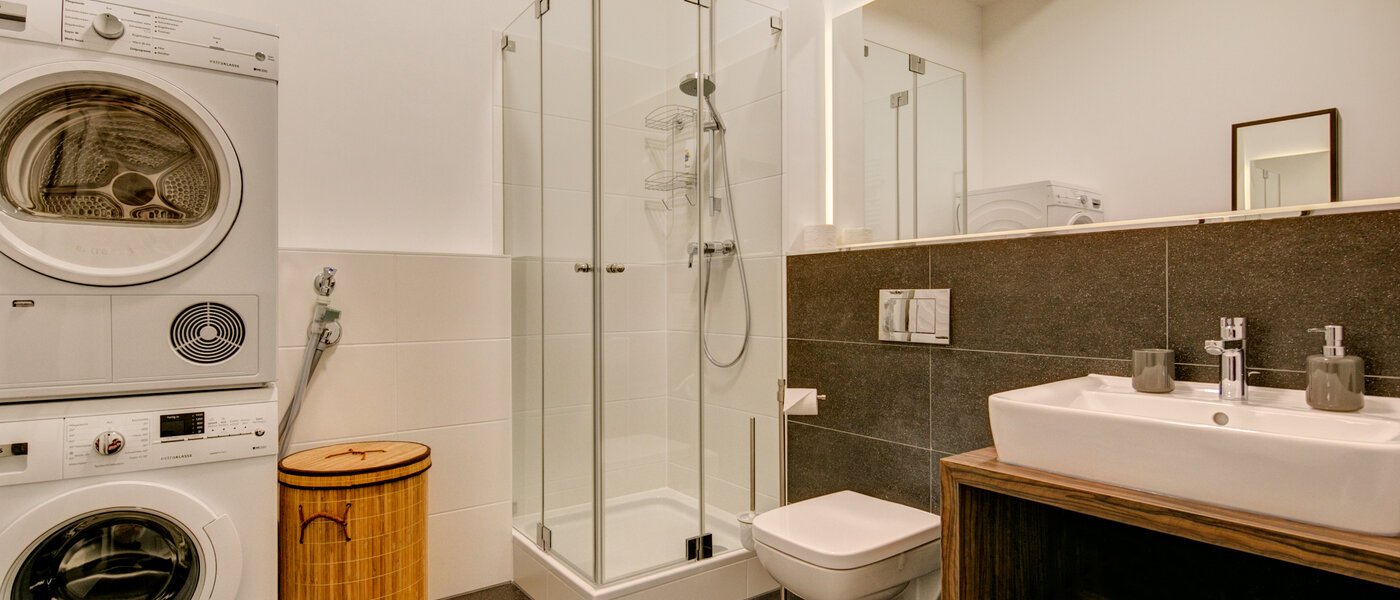 appartement München Ludwigsvorstadt 01 salle de bain 9771