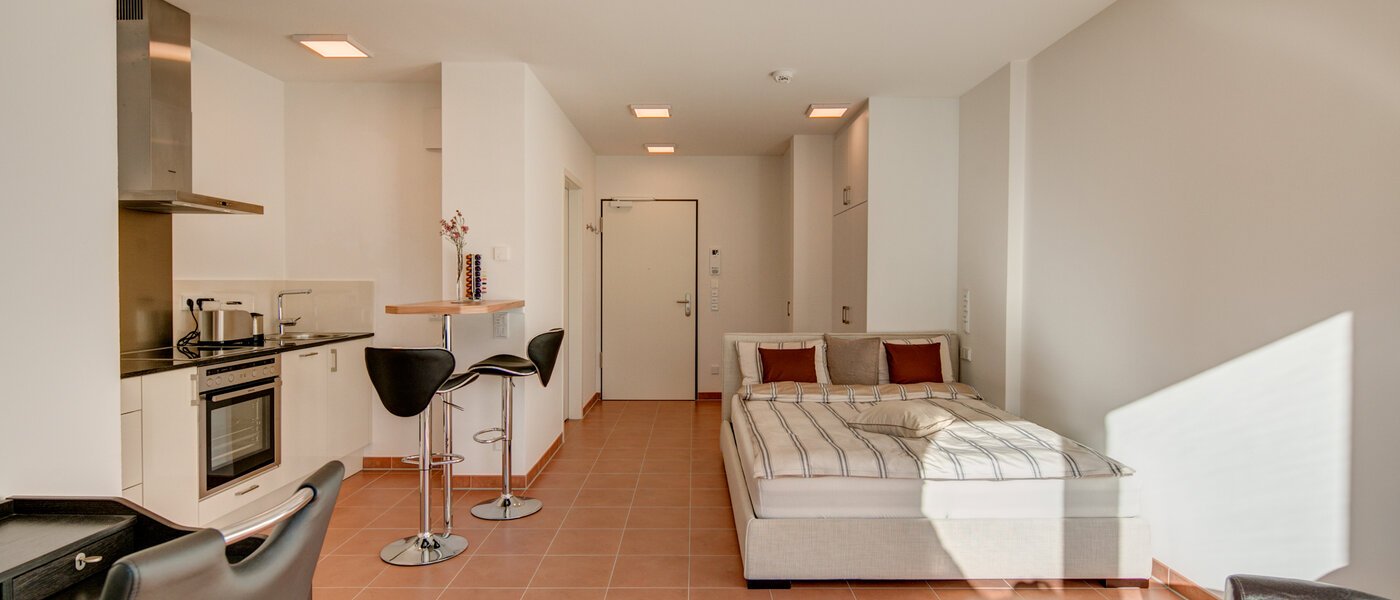 appartement München Isarvorstadt 03 salon 9891