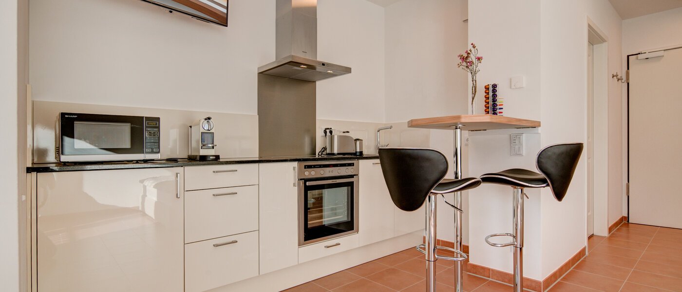 appartement München Isarvorstadt 01 cuisine 9891