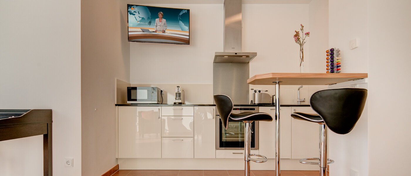appartement München Isarvorstadt 02 cuisine 9891