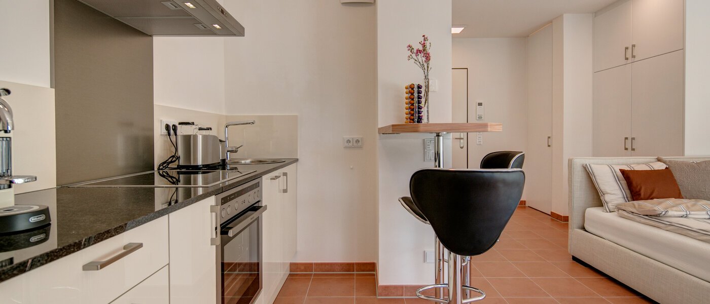 appartement München Isarvorstadt 03 cuisine 9891