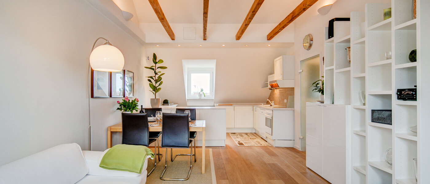 appartement sous les toits München Thalkirchen 01 salon 9893