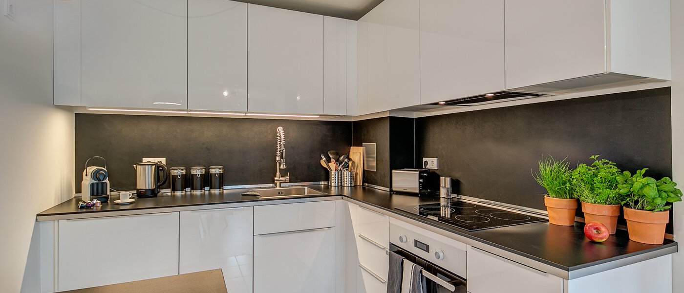 appartement München Schwabing-Georgenschwaige 02 cuisine 9904