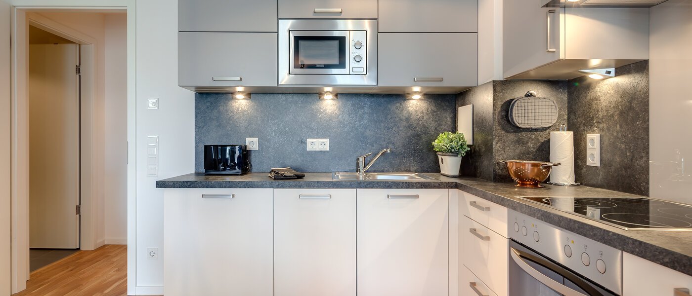 appartement München Lehel 02 cuisine 9937