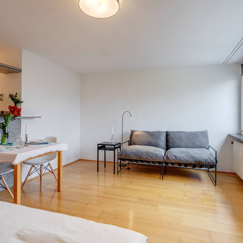 studio avec 1 pièce | Munich-Schwabing-West | 11346