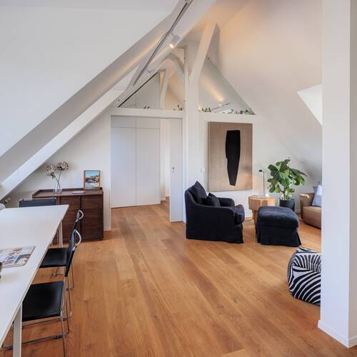 appartement avec terrasse sur le toit avec 2 pièces | Munich-Au-Haidhausen | 14748