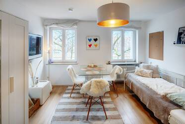 Bel et lumineux appartement d'une pièce à Munich-Nymphenburg
