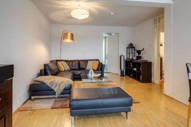 A louer : Appartement ensoleillé avec terrasse sur le toit 