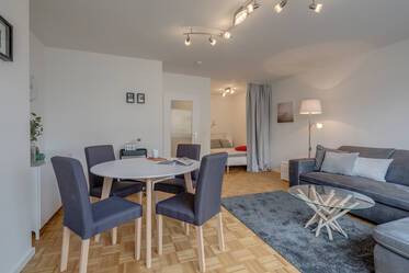 Appartement lumineux d'une pièce avec terrasse sur le toit